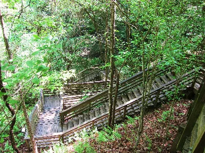 Devil's Millhopper Geological State Park