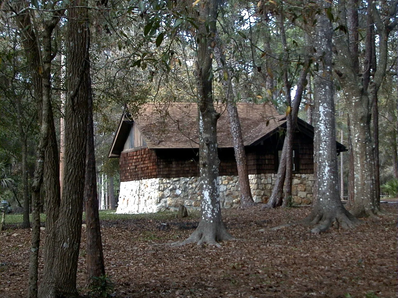 Stone-and-log shelter among tall trees