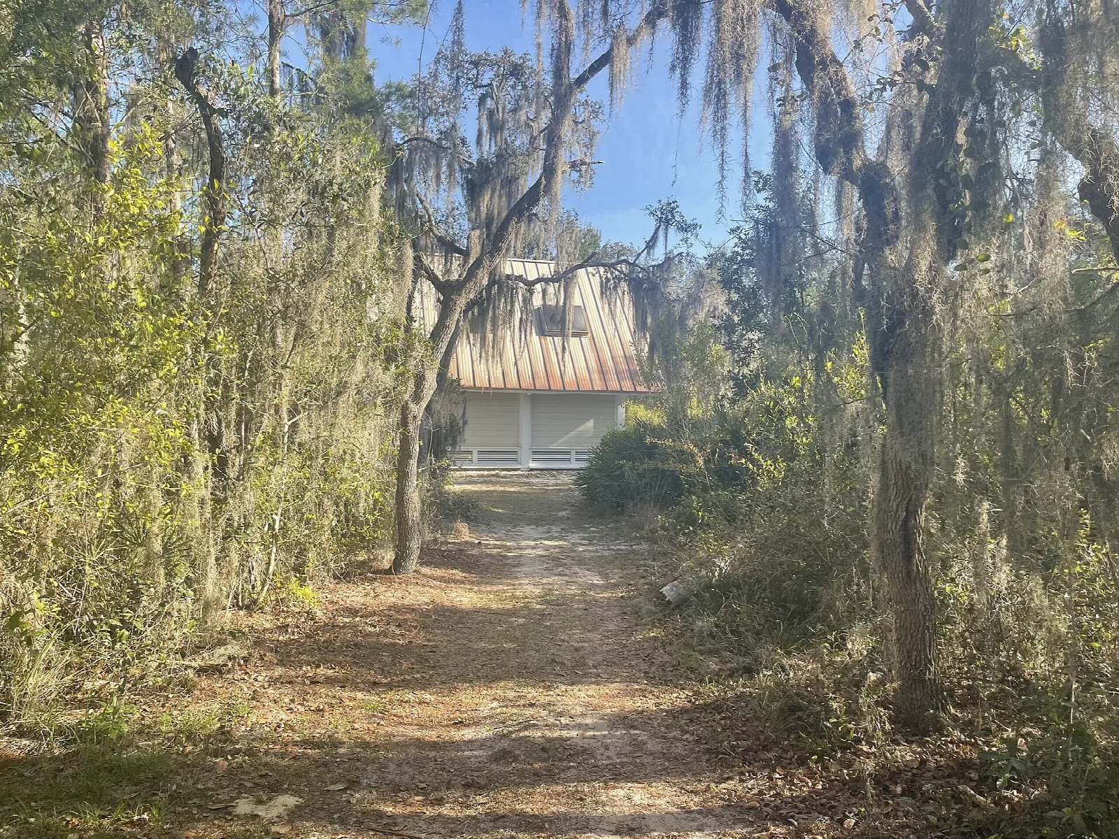Sandy path through moss-draped trees to a small building