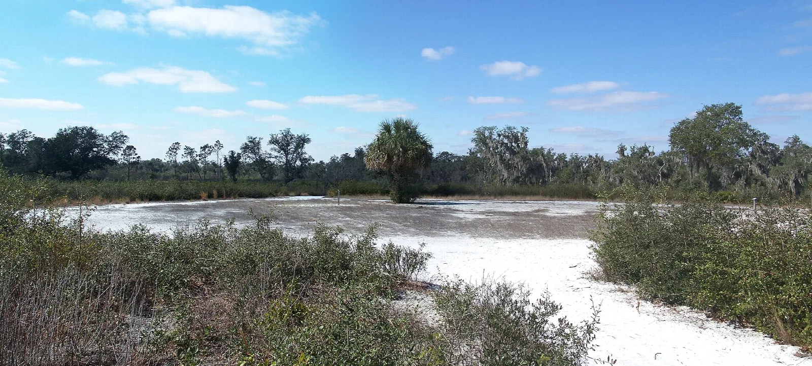 Open white sandy flat with scrub and trees beyond