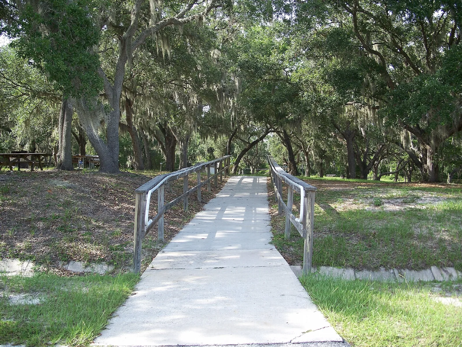Paved walkway with rails through a grassy oak grove