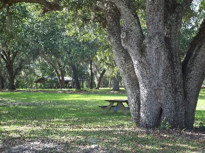 Lake Griffin State Park