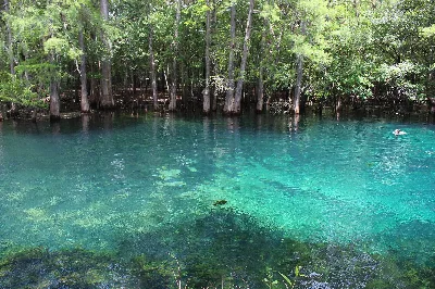 Manatee Springs State Park