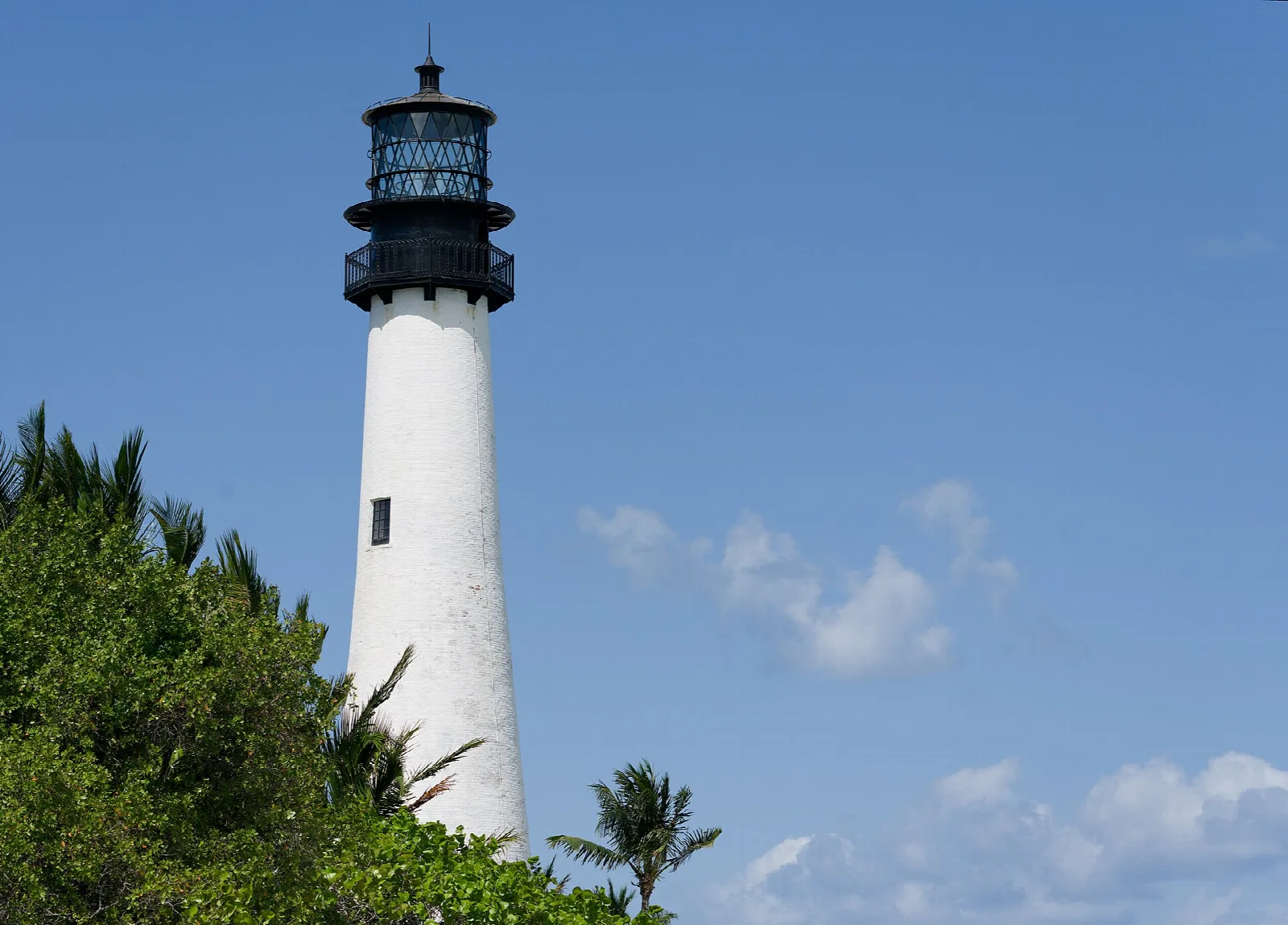 White lighthouse with black top above palms and blue sky