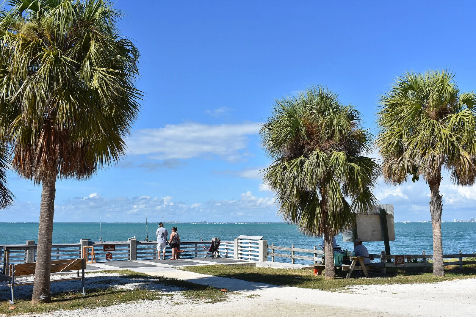 People fishing along a rail by the sea under palms