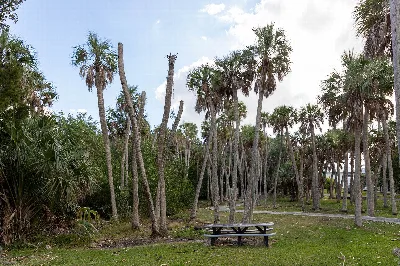 Madira Bickel Mound State Archaeological Site