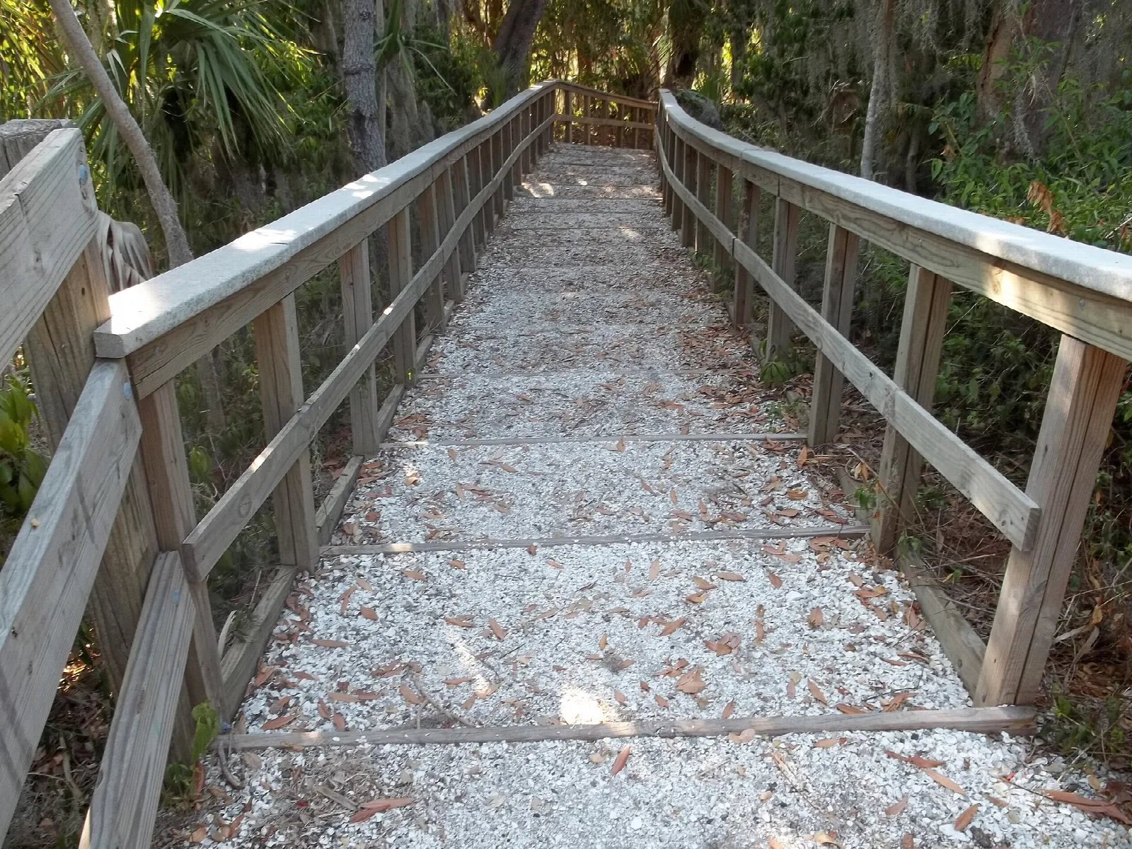 Wooden walkway covered in shell chips between rails