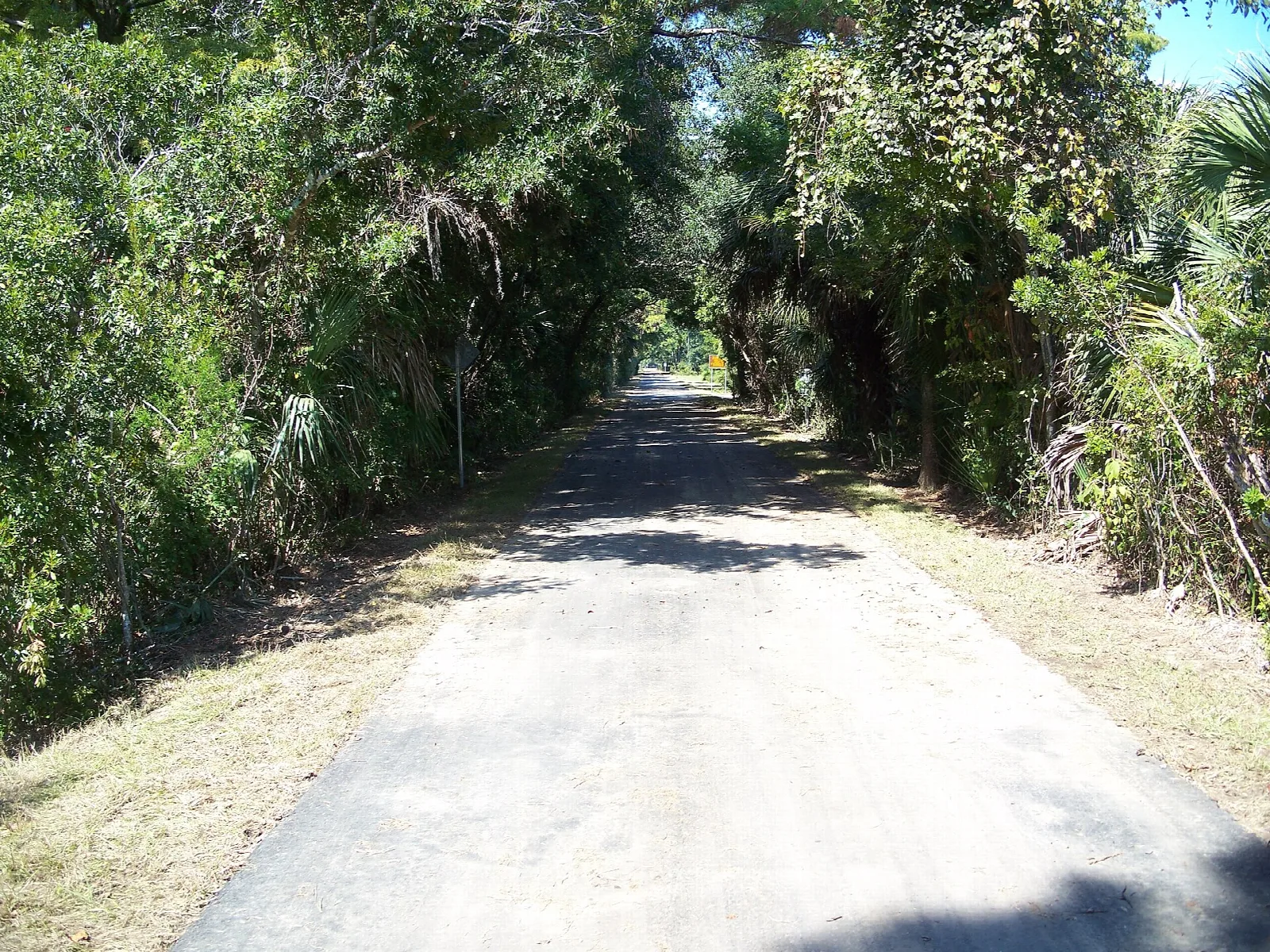 Paved trail running through green trees