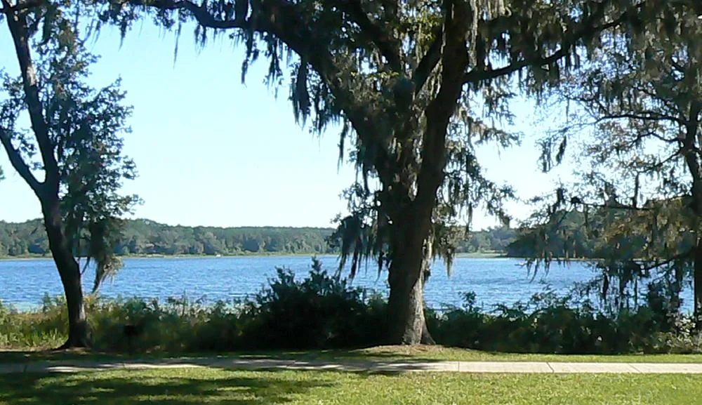 View related to Alfred B. Maclay Gardens State Park