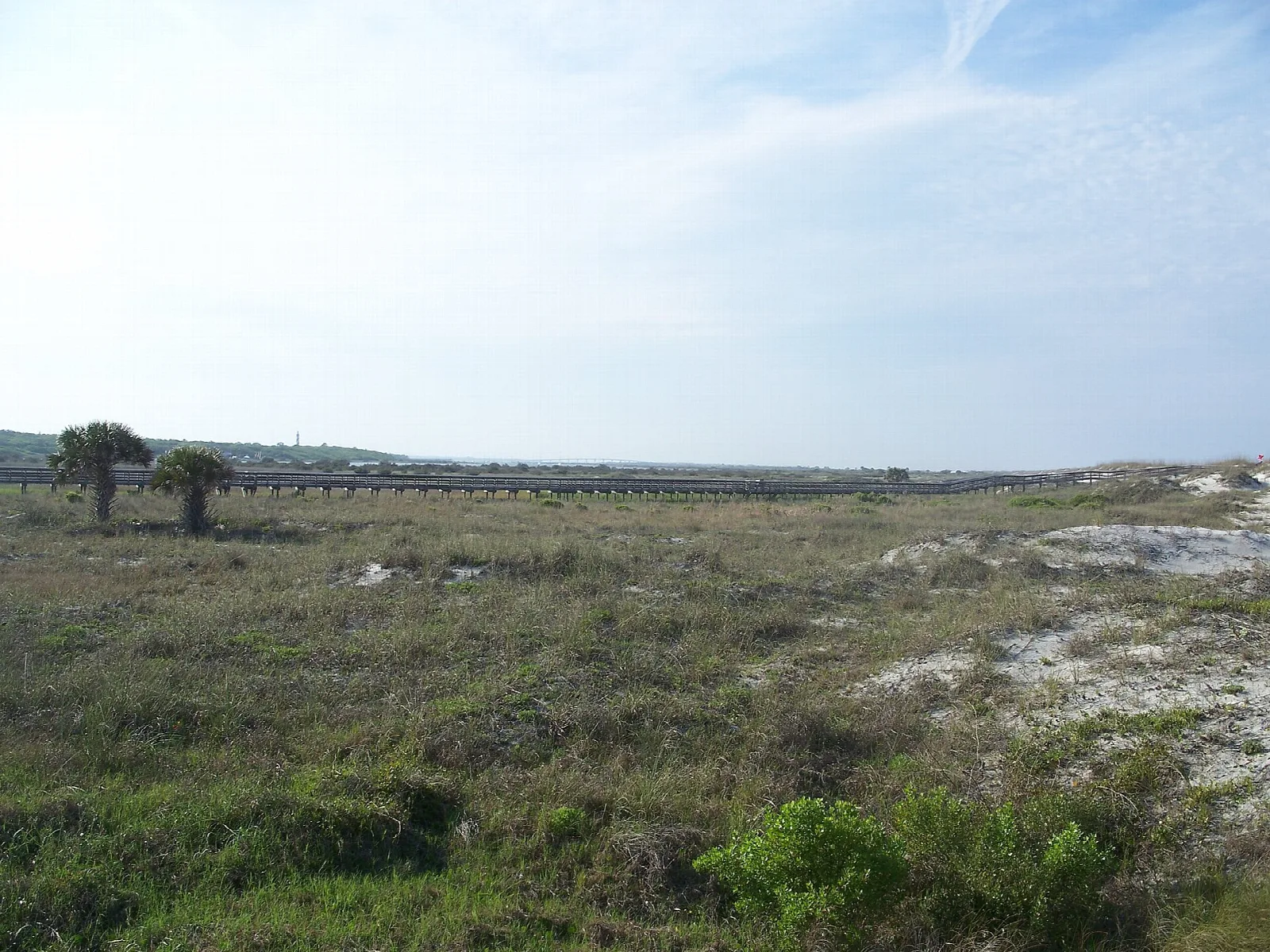 Dune grassland and scrub with white sand patches under a pale sky