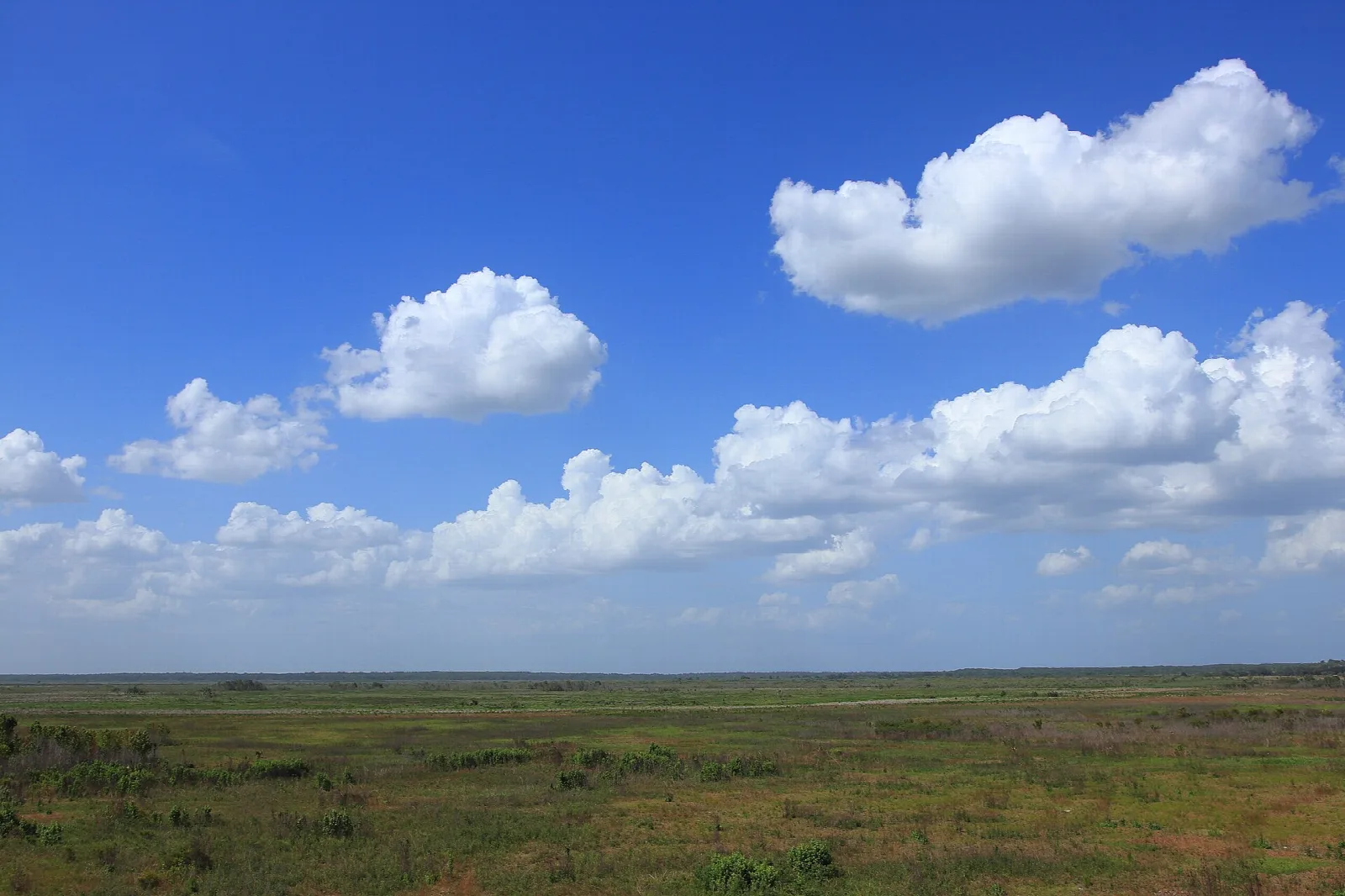 Vast green prairie under a big sky with clouds