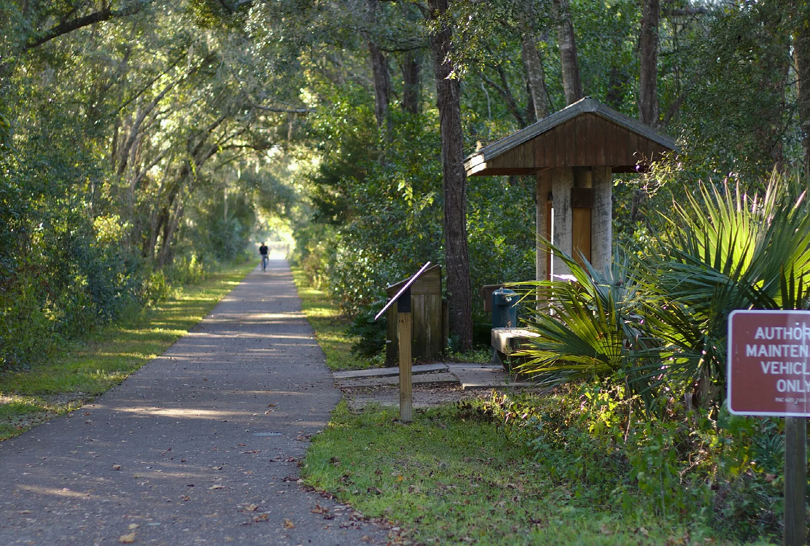 Shaded trail with a small wooden shelter and palms