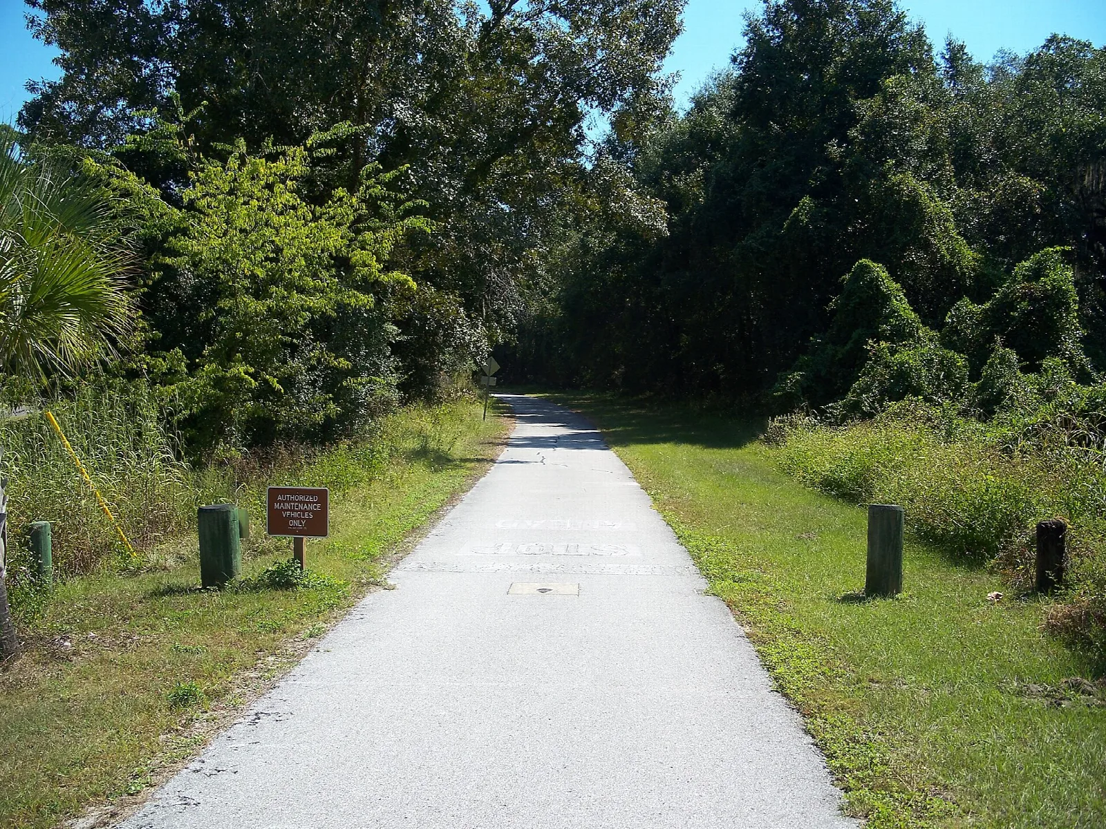 Paved trail running straight through green woods