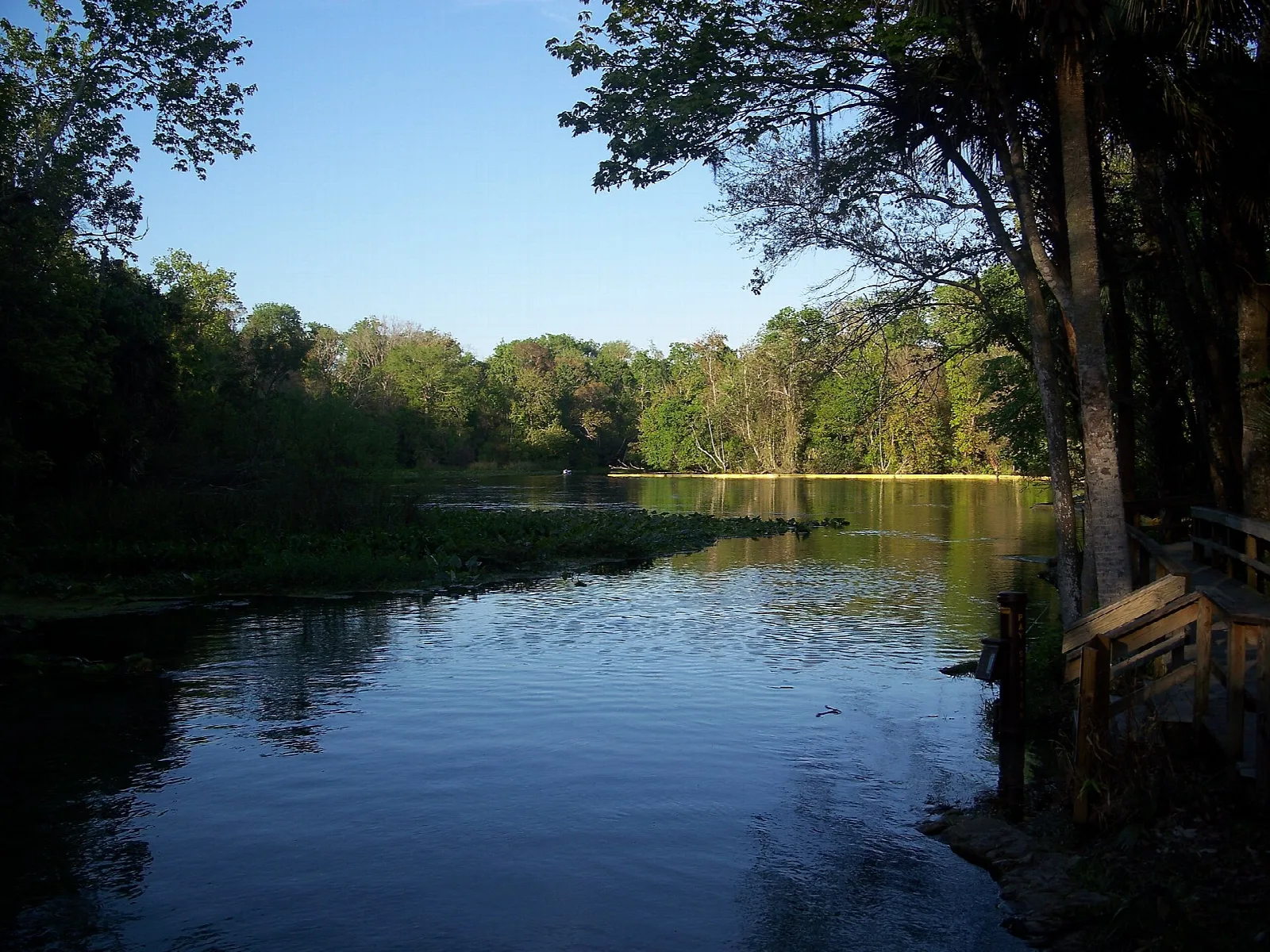 Dark spring run reflecting trees at the water's edge