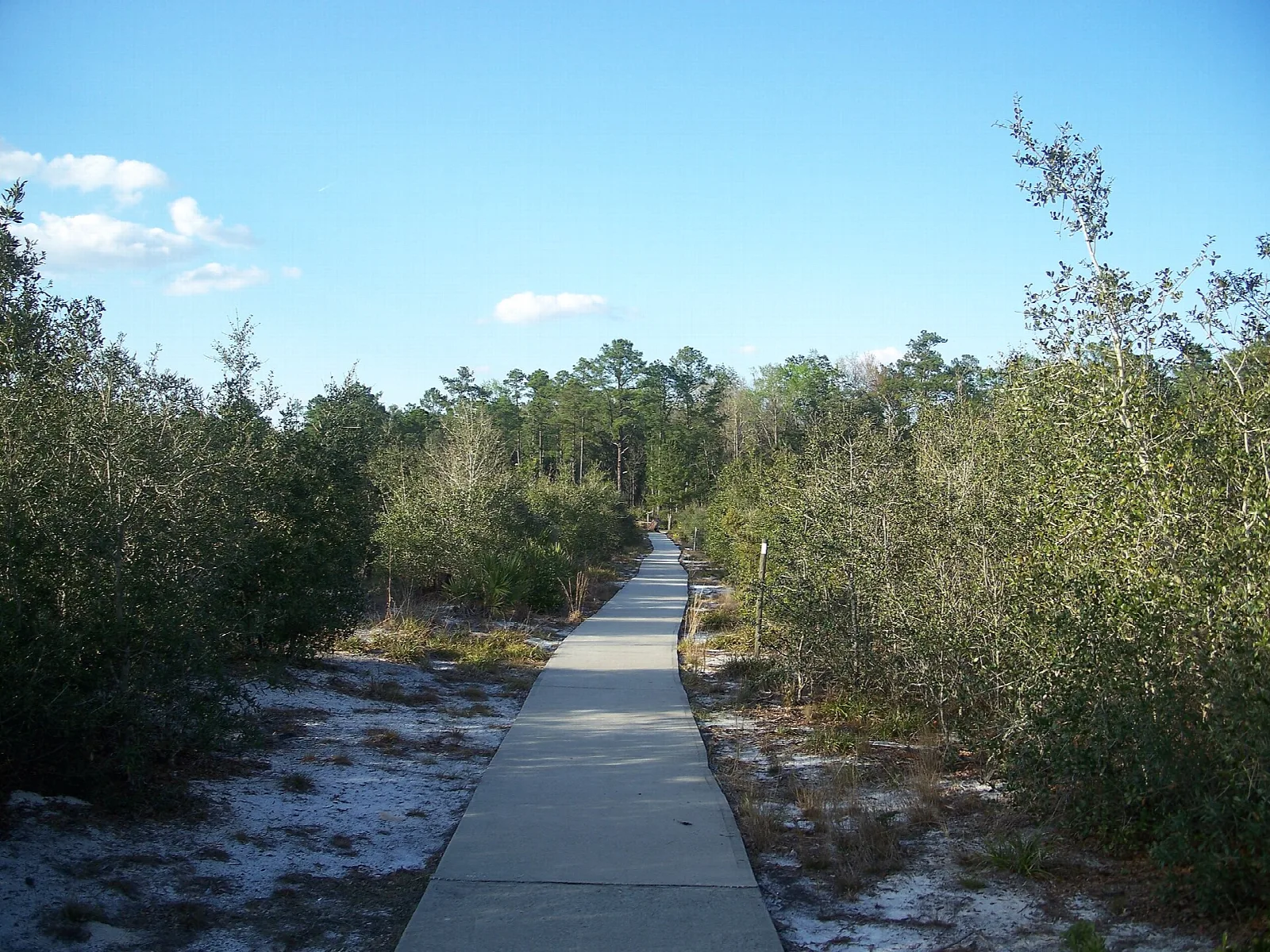Concrete path through scrub and white sand