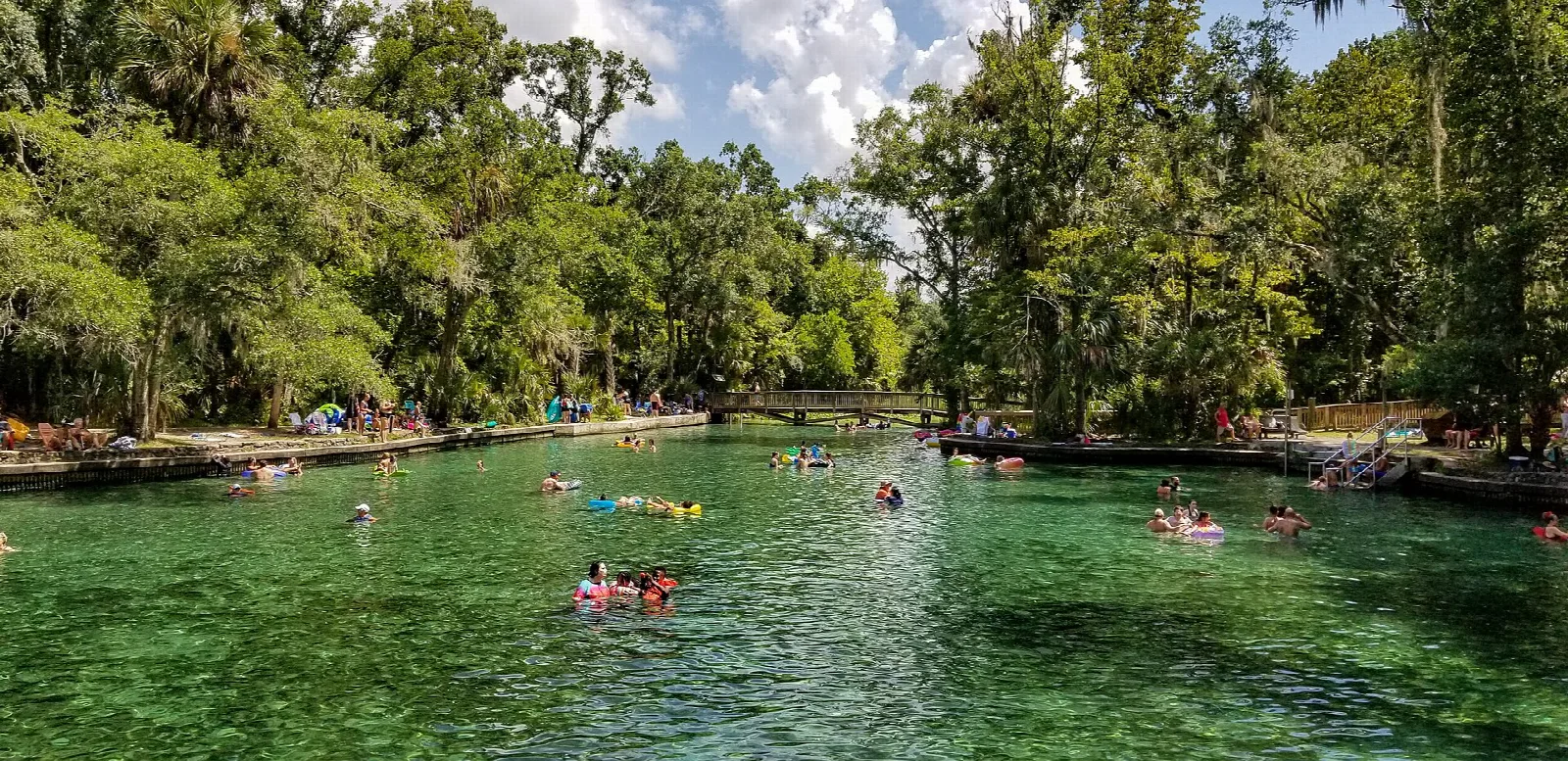 Clear green spring with swimmers and trees all around
