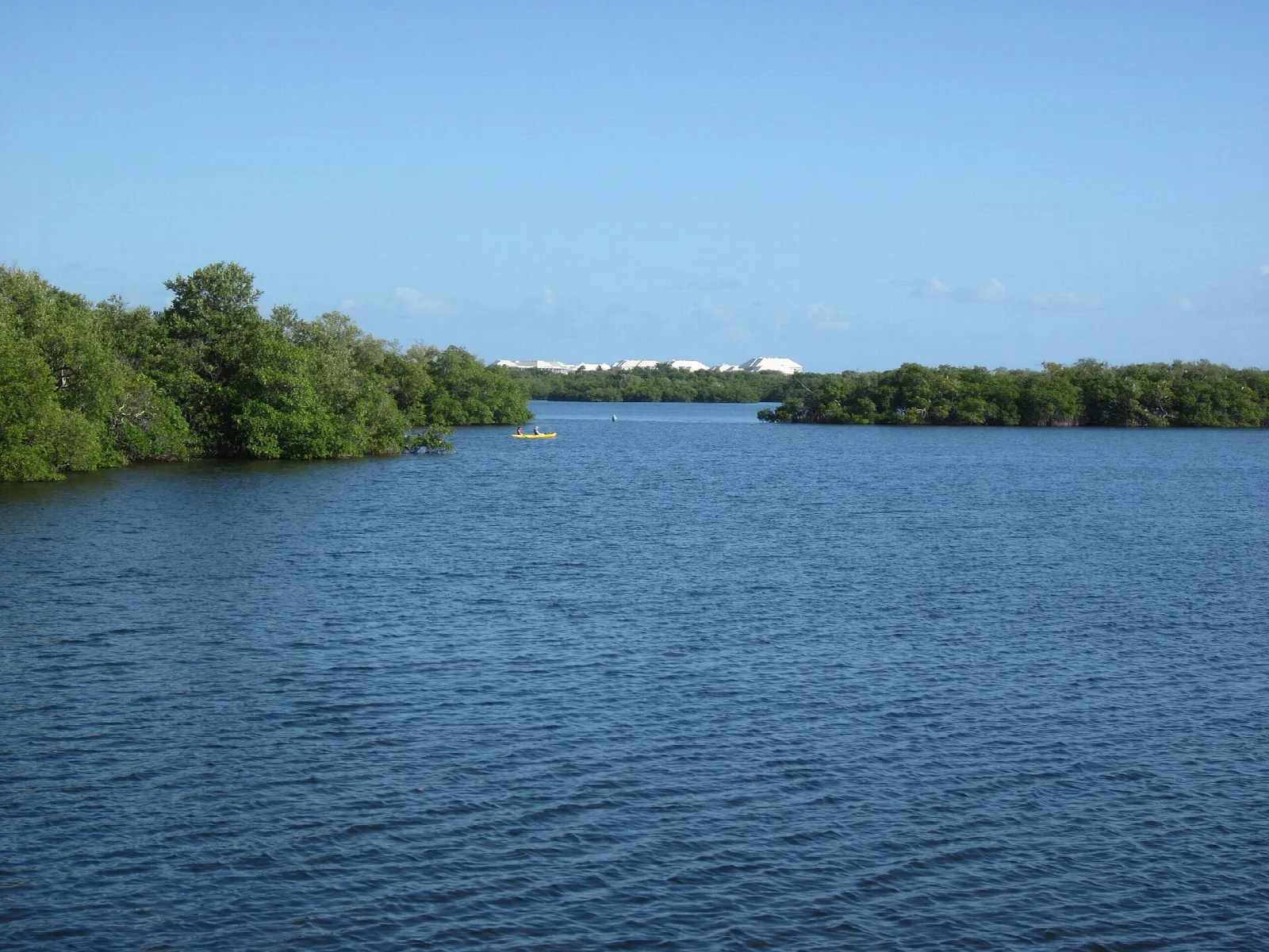 Blue lagoon fringed by green mangroves
