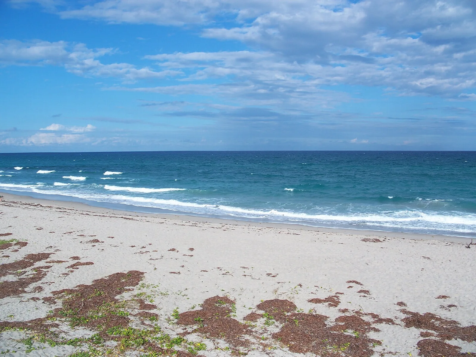 Pale beach and surf under scattered clouds