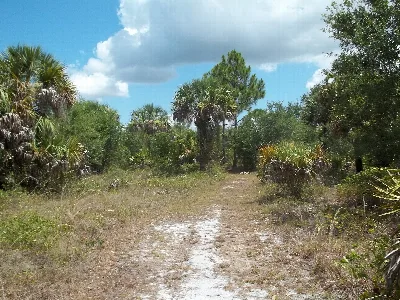 Charlotte Harbor Preserve State Park