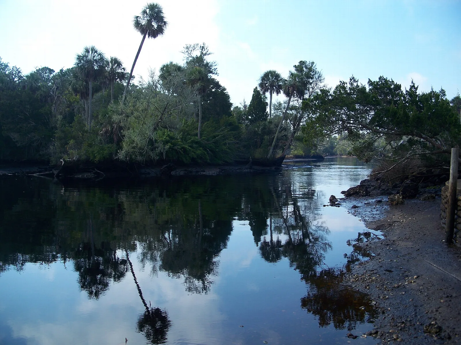 Quiet river reflecting palms and trees