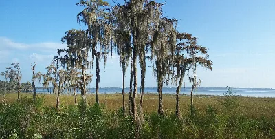 Lake Louisa State Park