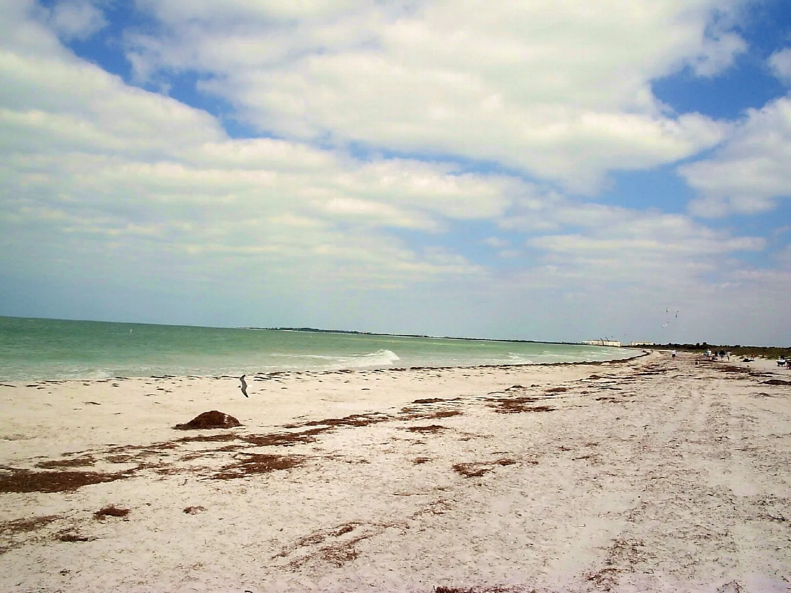Long white beach beside green water