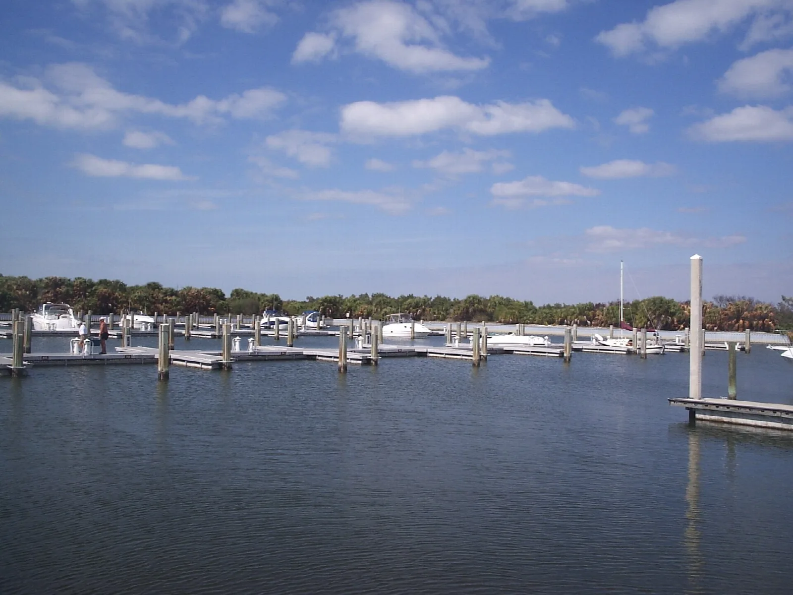 Marina with boats at slips under blue sky