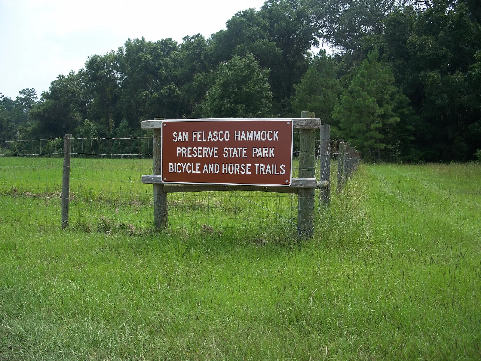 View related to San Felasco Hammock Preserve State Park