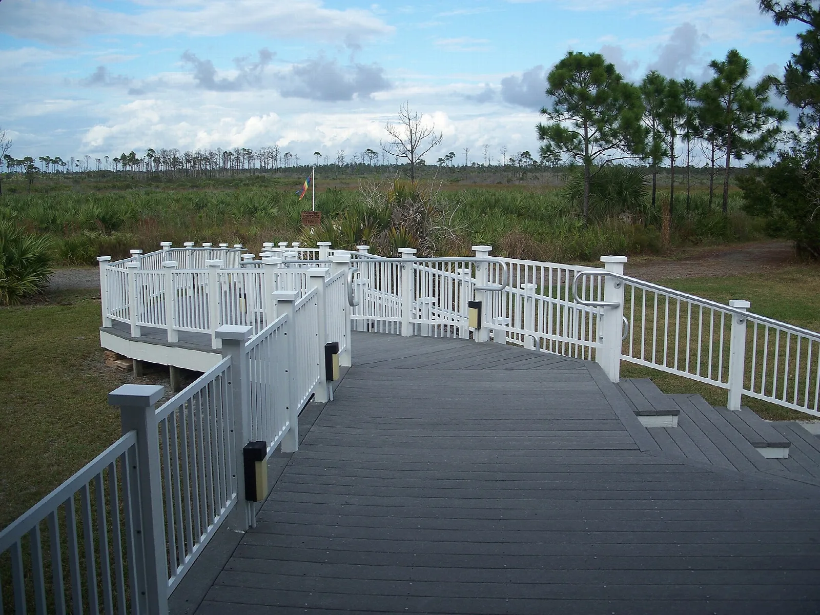 White railed deck stepping down toward open pine flatwoods