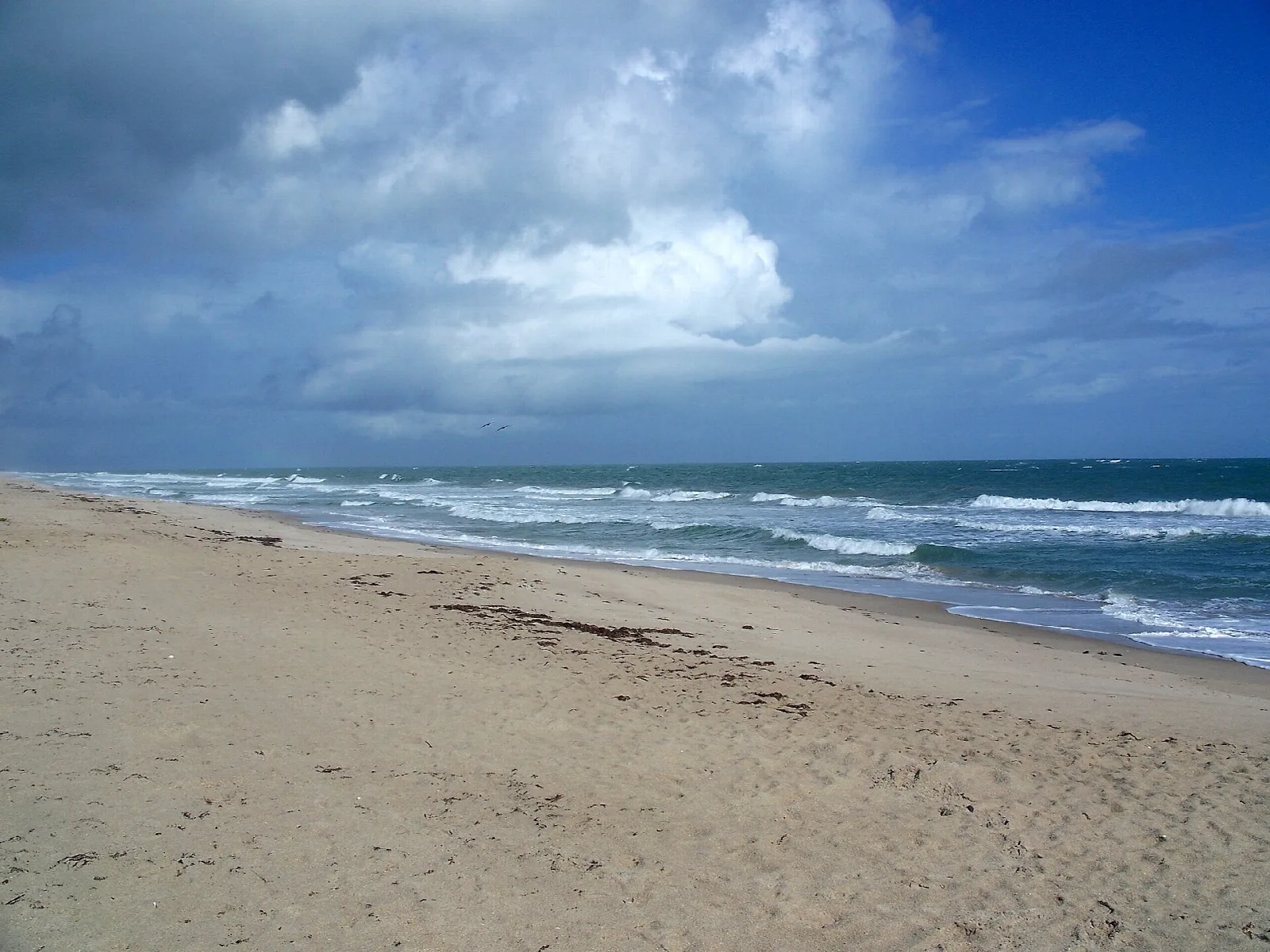 Empty sandy beach with surf under big clouds