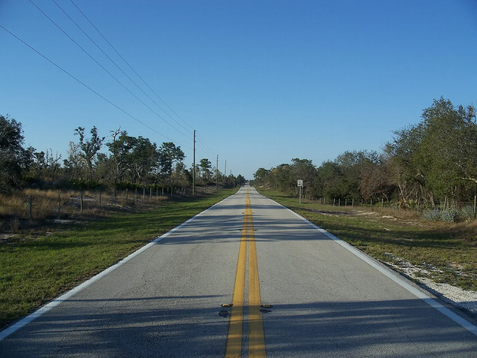 Straight paved two-lane road lined with scrub oaks under blue sky