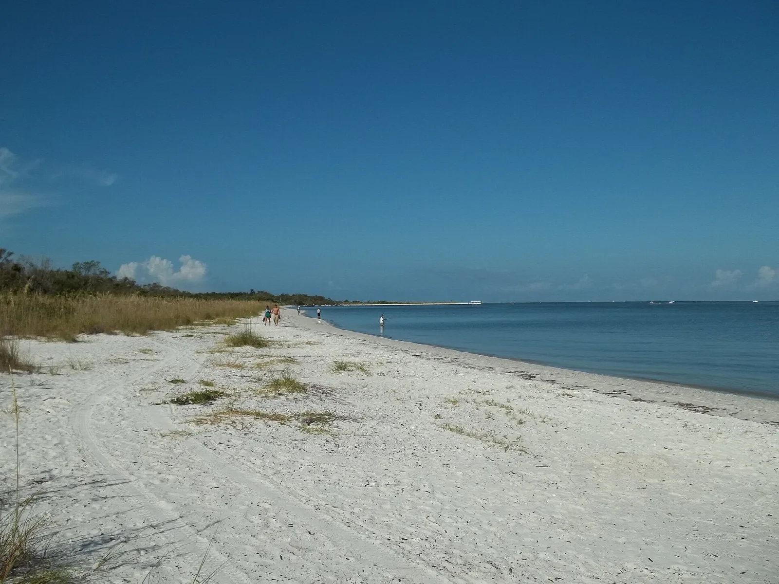 Pale sand beach curving along calm blue water