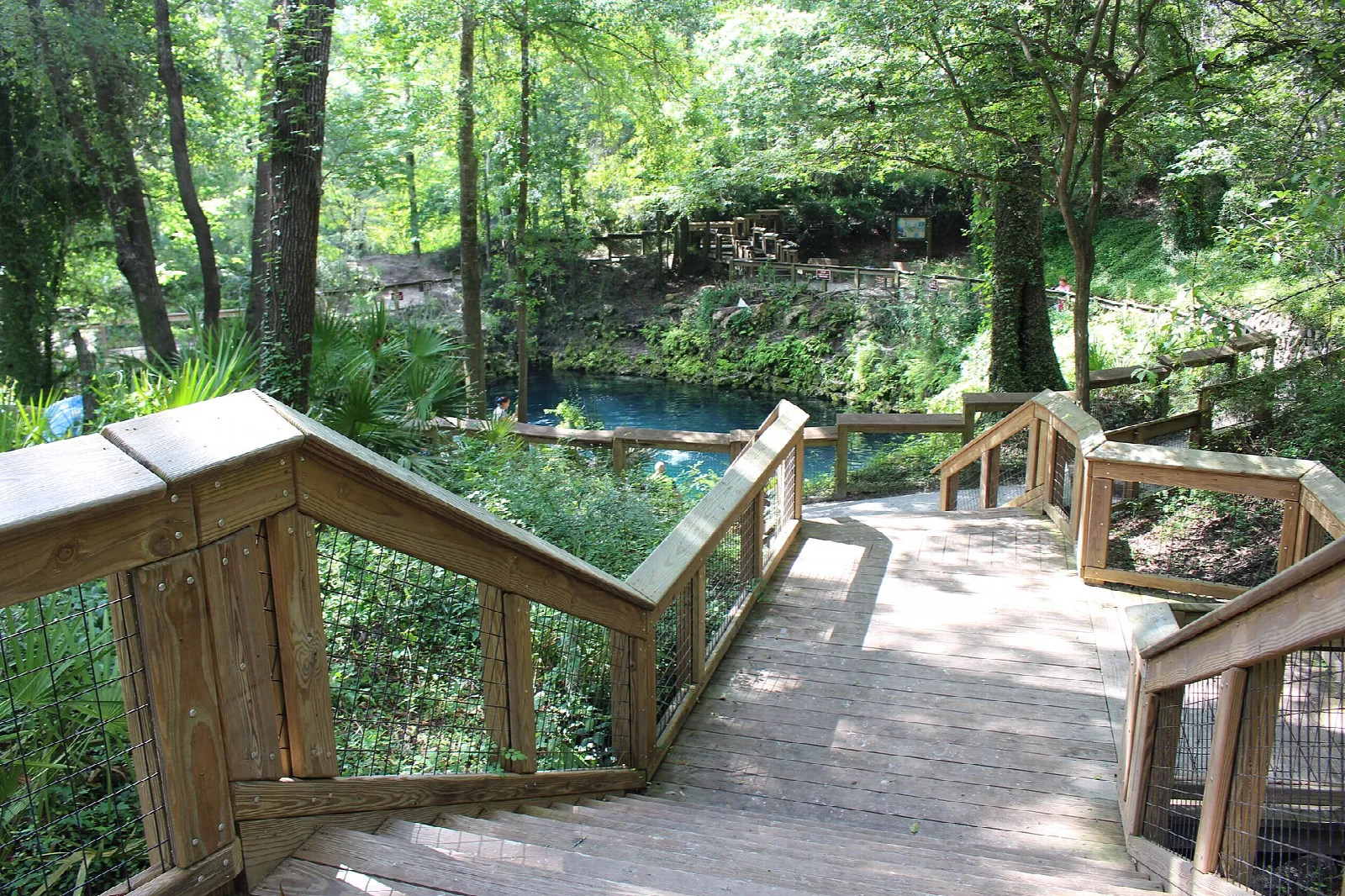 Wooden stairs and rail leading down toward a spring pool