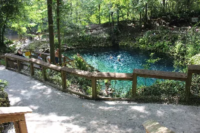 Madison Blue Spring State Park