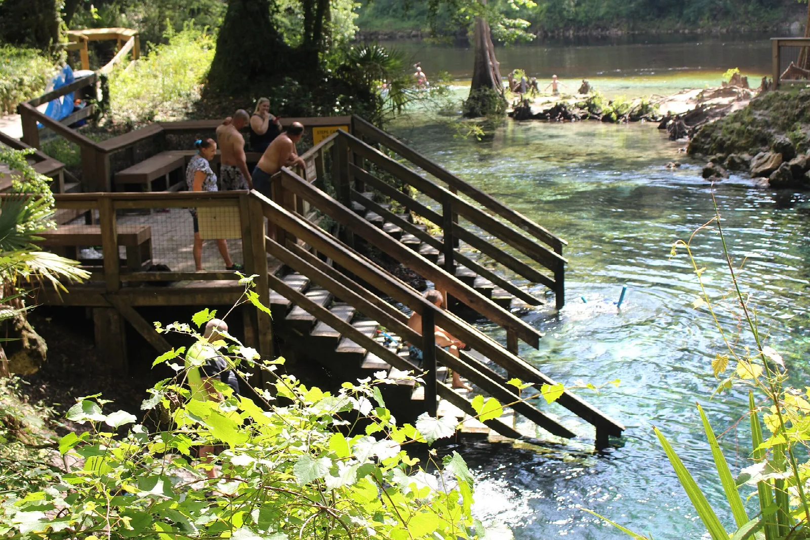 Wooden dock and steps beside clear spring water running to a river