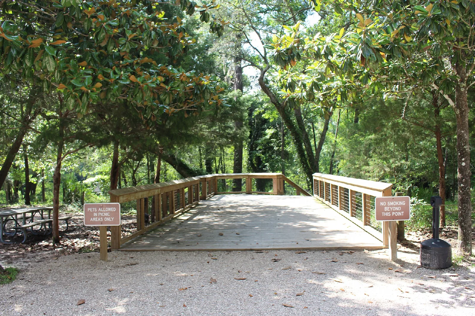 Boardwalk with railings through shady woods