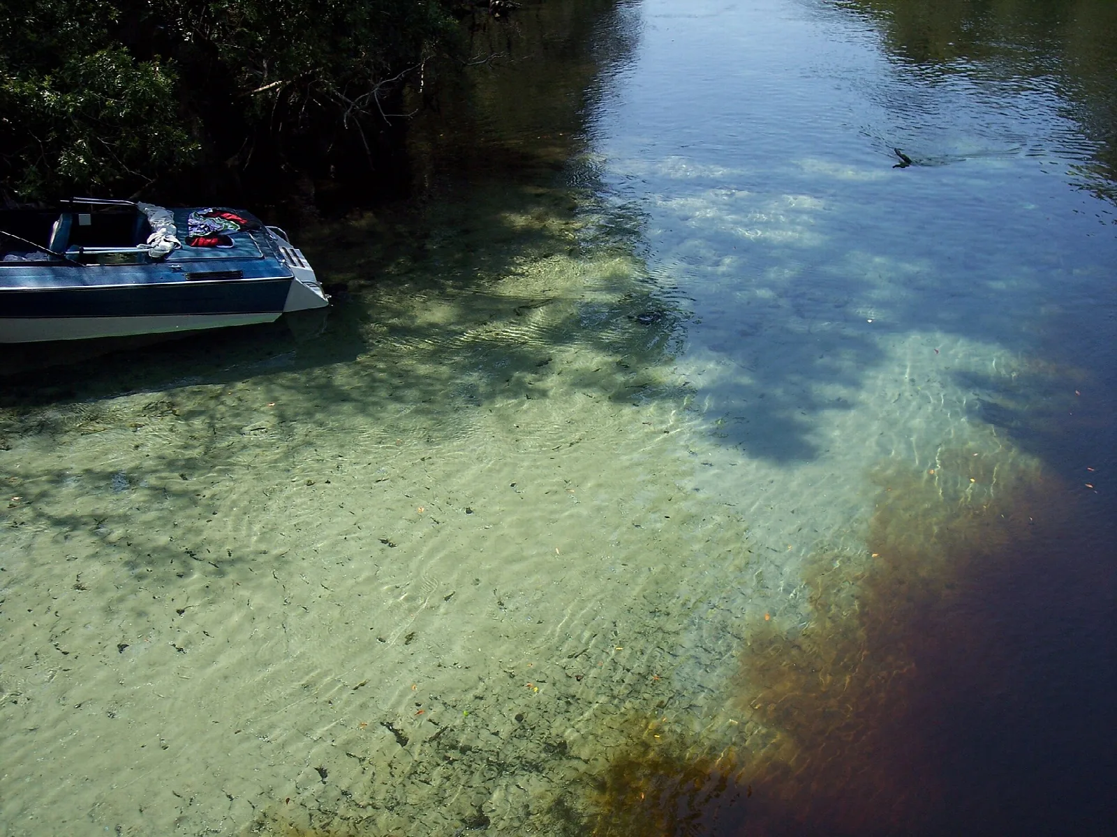 Clear spring water with a boat meeting darker river water