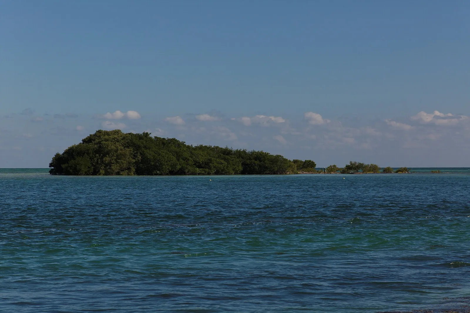 Small wooded island on calm blue water