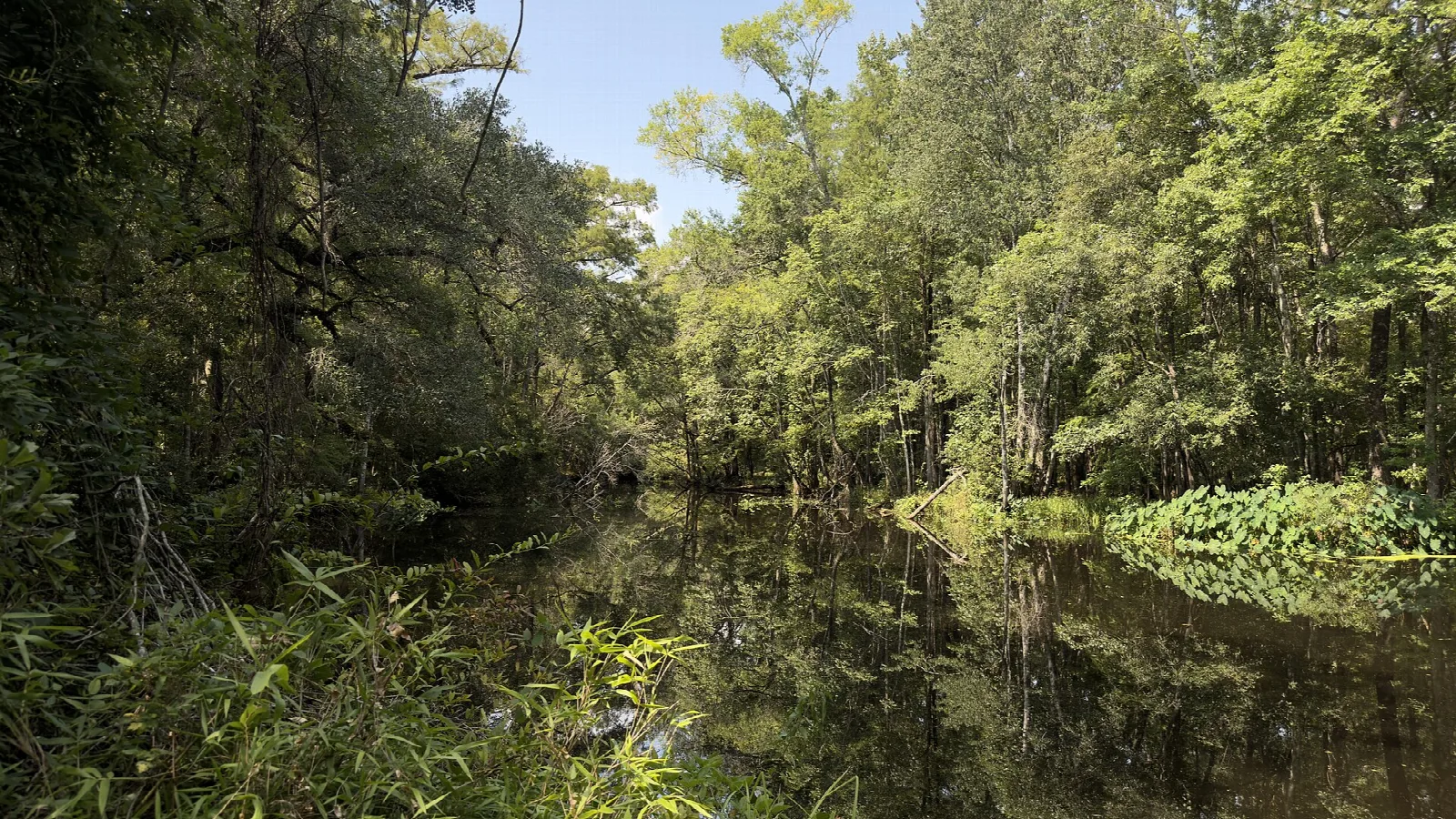 Dark river water reflecting forest and a patch of blue sky