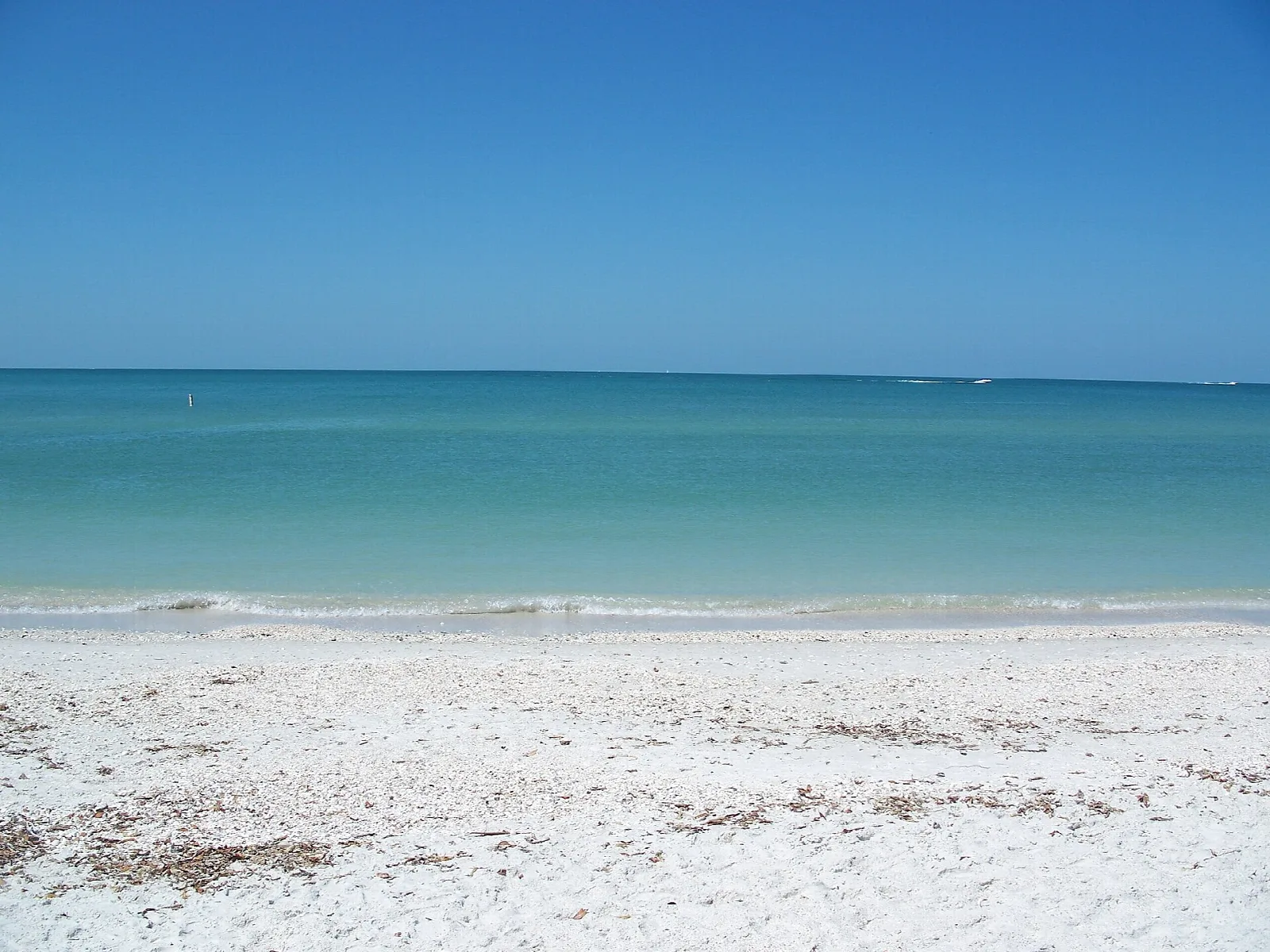 Shell-strewn white sand beside blue-green Gulf water