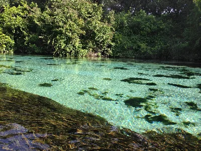 Weeki Wachee Springs State Park