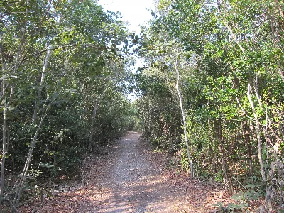 Dagny Johnson Key Largo Hammock Botanical State Park