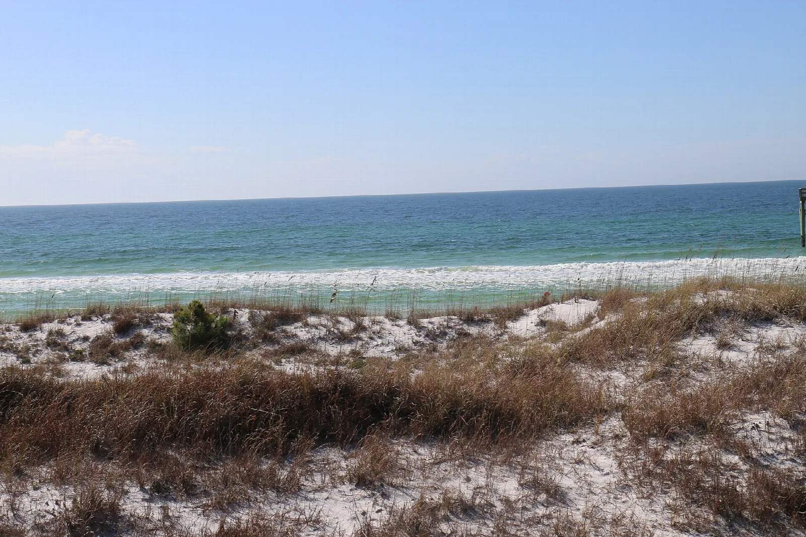 Dune grass and white sand above green-blue surf