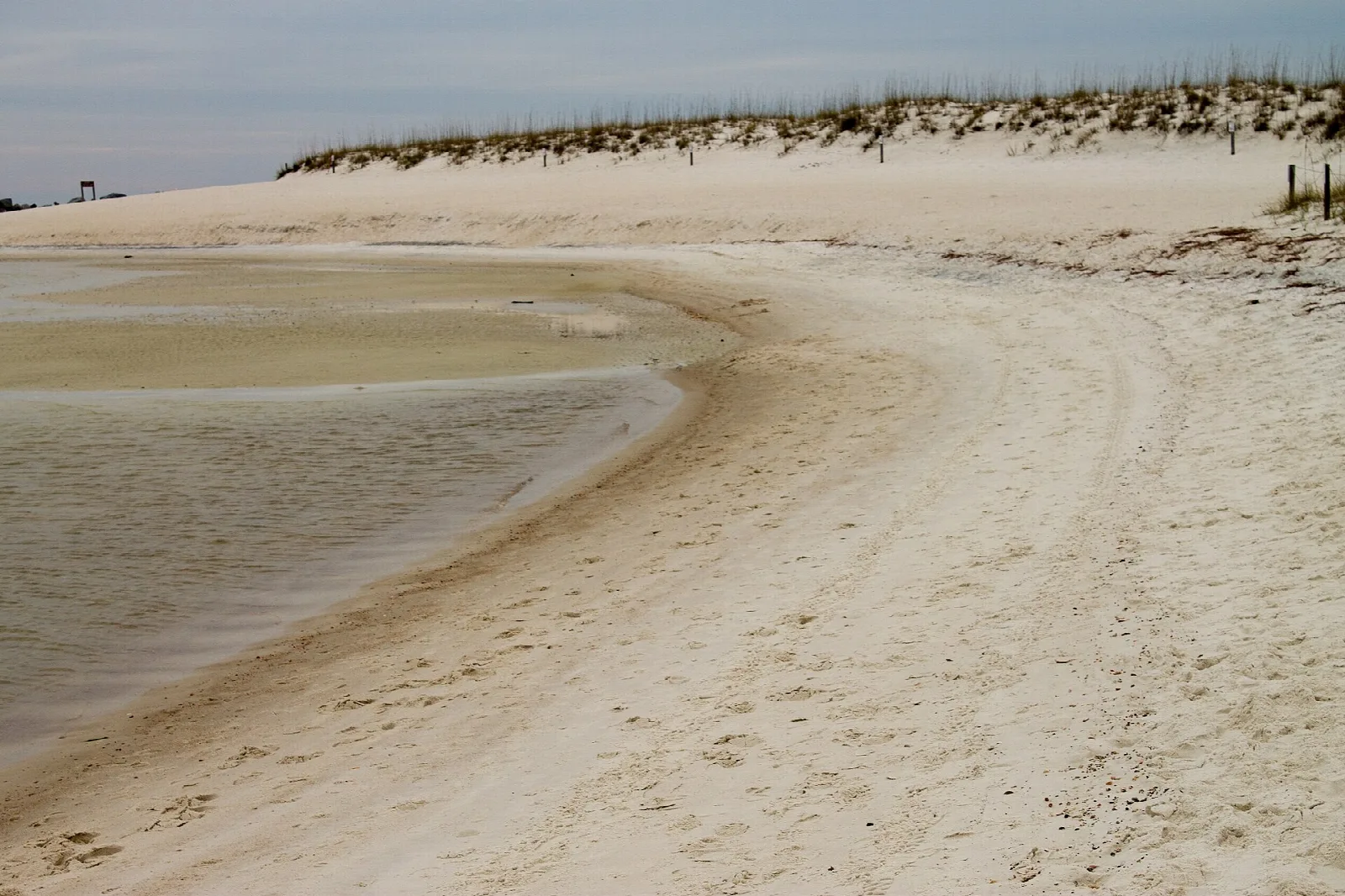 Curving sandy inlet with sea oats on the dune behind