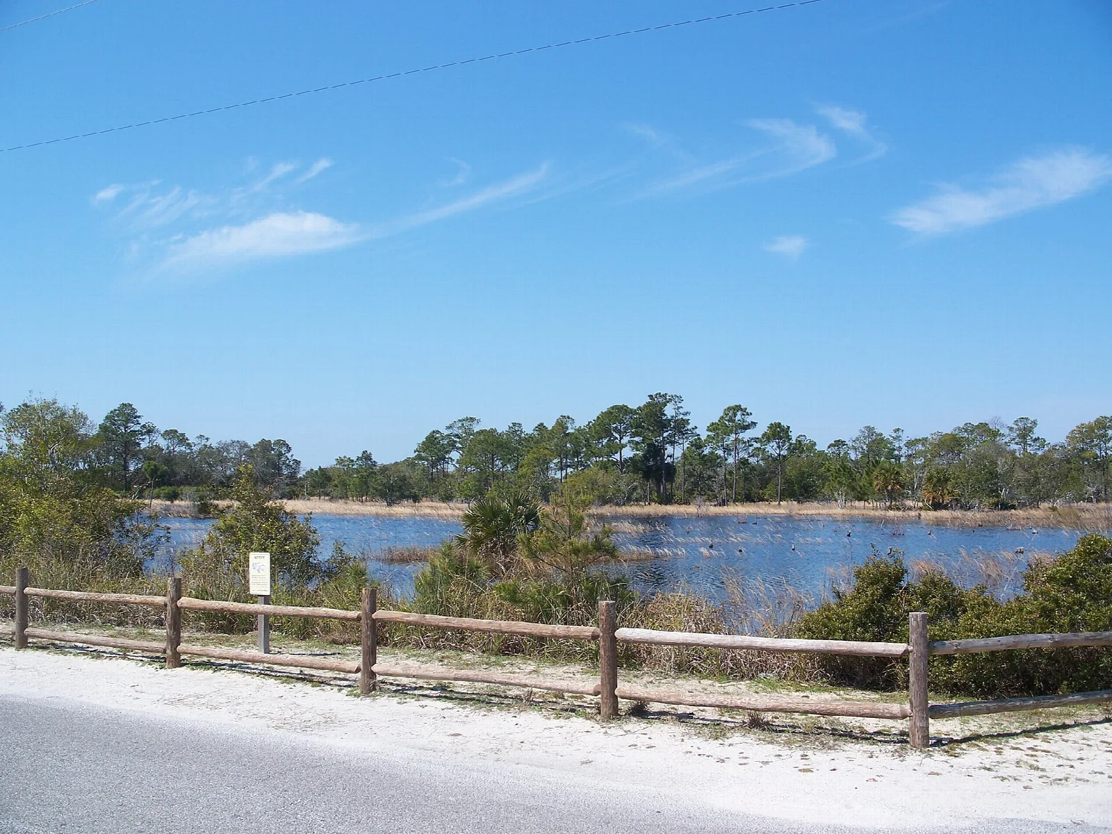 Small lake behind a wood fence and pines beside a road