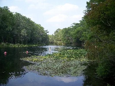 Silver Springs State Park