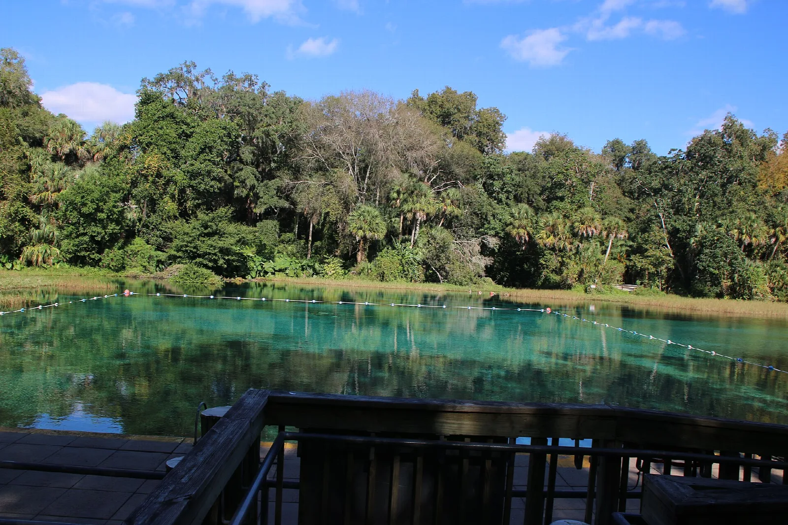 Teal spring pool beyond a wooden deck and green trees