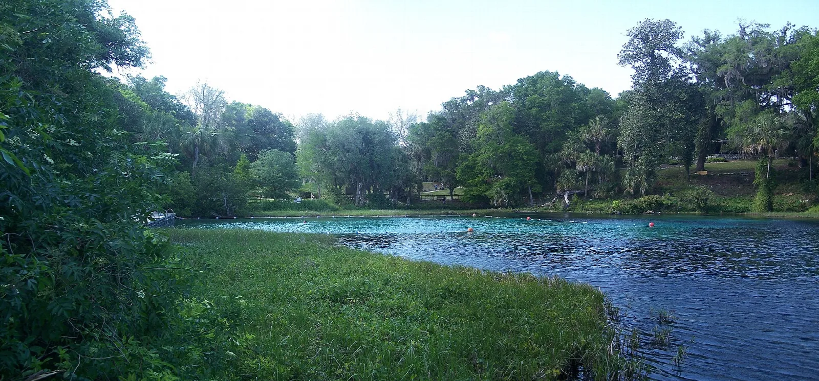 Calm blue spring water beside a grassy bank and trees