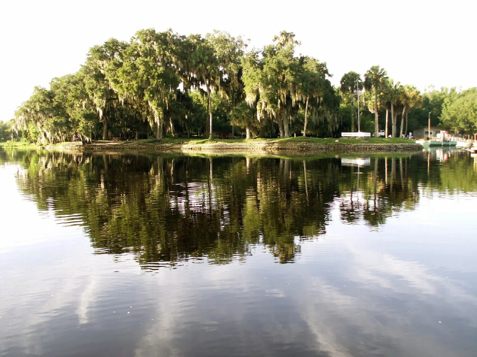Tree-covered island reflected in calm river water