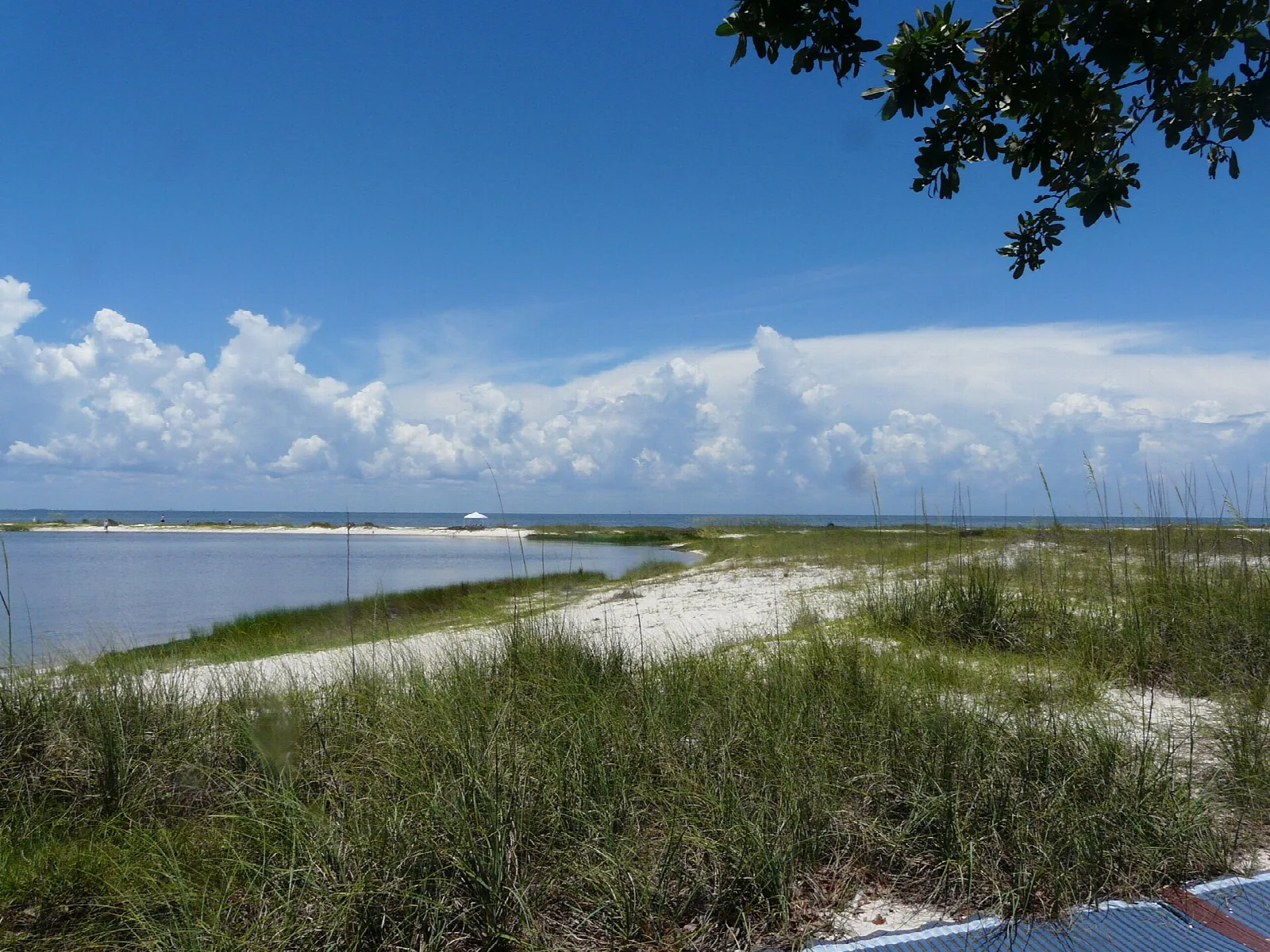 Lagoon and marsh grass with clouds over the bay